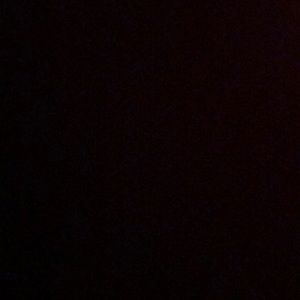 Meet your Posher, Whitney